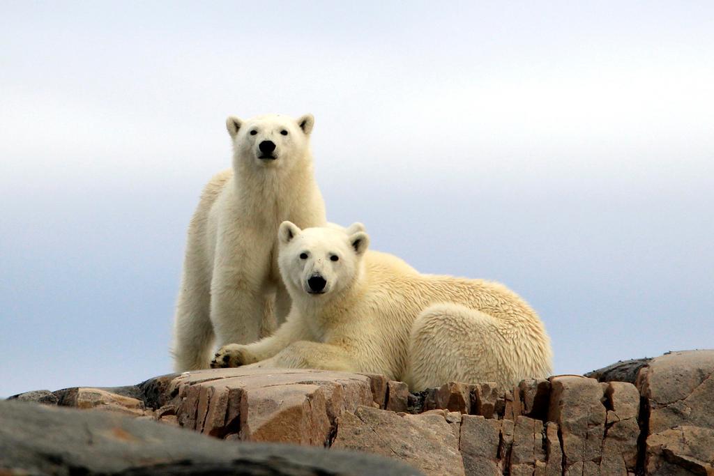 Radisson Blu Polar Hotel, Spitsbergen Longyearbyen Ngoại thất bức ảnh